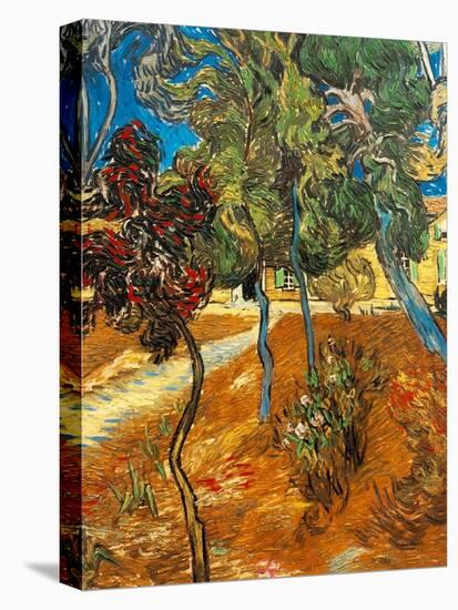 Trees in the Asylum Gardens, Arles, 1889-Vincent van Gogh-Premier Image Canvas