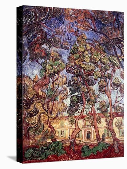 Trees in the Garden of Saint-Paul Hospital-Vincent van Gogh-Premier Image Canvas