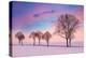 Trees in the Winter Wind-Philippe Sainte-Laudy-Premier Image Canvas