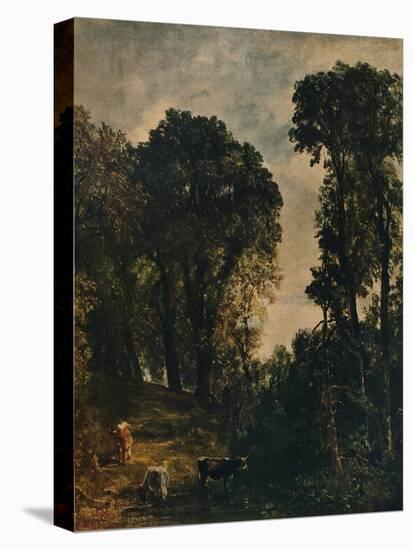 'Trees Near Hampstead Church', 1829, (c1915)-John Constable-Premier Image Canvas