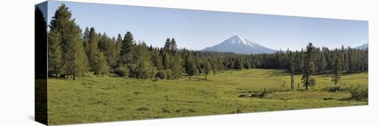 Trees on a Landscape with a Mountain in the Background, Mt Mcloughlin, Oregon, USA-null-Premier Image Canvas