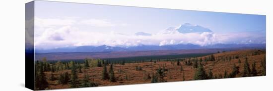 Trees on a Landscape with a Mountain Range in the Background, Mt McKinley, Denali National Park-null-Premier Image Canvas