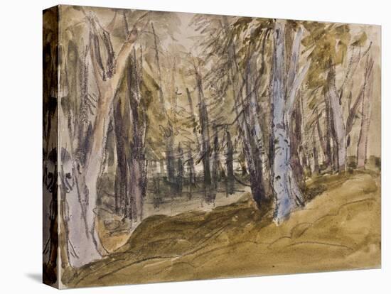 Trees on Box Hill-David Cox-Premier Image Canvas