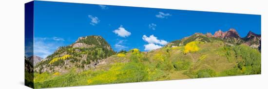 Trees on mountain, Maroon Bells, Maroon Bells-Snowmass Wilderness, White River National Forest,...-null-Premier Image Canvas