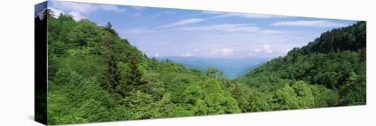 Trees on Mountains, Great Smoky Mountains National Park, Tennessee, USA-null-Premier Image Canvas