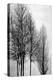 Trees on Silver Panel I-Kate Bennett-Stretched Canvas