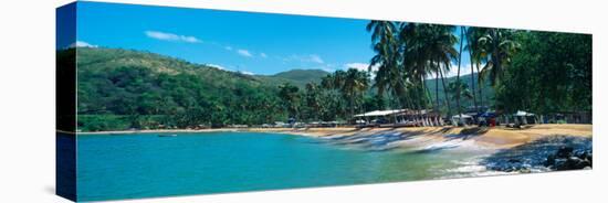 Trees on the Beach, Arapito Beach, Mochima National Park, Anzoategui State-Sucre State, Venezuela-null-Premier Image Canvas