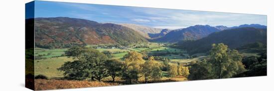 Trees on the Mountainside, Borrowdale, Lake District, England-null-Premier Image Canvas