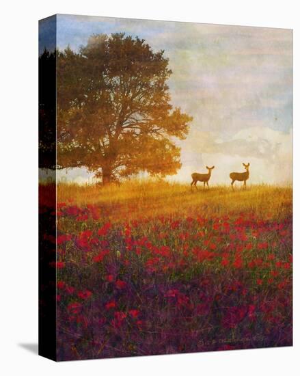 Trees, Poppies and Deer IV-Chris Vest-Stretched Canvas