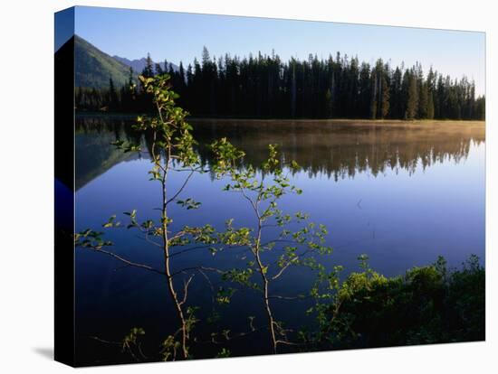 Trees Reflected in Lake Grand Teton National Park, Wyoming, USA-Rob Blakers-Premier Image Canvas