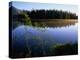 Trees Reflected in Lake Grand Teton National Park, Wyoming, USA-Rob Blakers-Premier Image Canvas