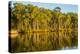 Trees reflected in the Noosa River, Cooloola National Park, Queensland, Australia-Mark A Johnson-Premier Image Canvas
