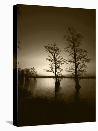 Trees Reflected in Water, Reelfoot National Wildlife Refuge, Tennessee, USA-Adam Jones-Premier Image Canvas