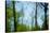 Trees with foliage, blurred, against the sky-Axel Killian-Stretched Canvas