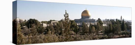 Trees with Mosque in the Background, Dome of the Rock, Temple Mount, Jerusalem, Israel-null-Premier Image Canvas