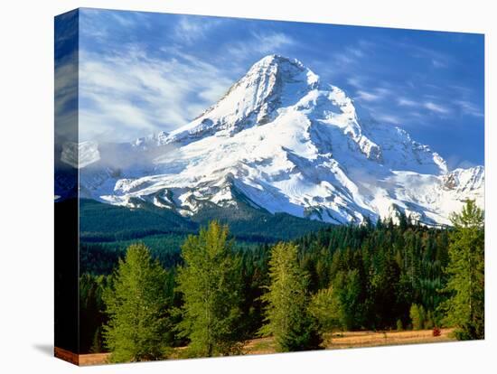 Trees with snowcapped mountain range in the background, Mt Hood, Upper Hood River Valley, Hood R...-null-Premier Image Canvas