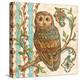 Treetop Owl II-Kate McRostie-Stretched Canvas