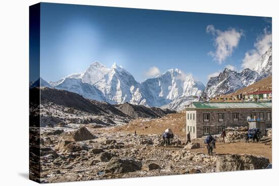 Trekkers and yaks in Lobuche on a trail to Mt. Everest.-Lee Klopfer-Premier Image Canvas