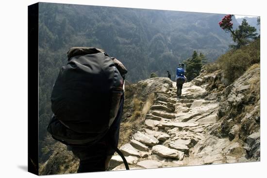 Trekkers on the Trail Towards Namche Bazaar, Khumbu, Nepal-David Noyes-Premier Image Canvas