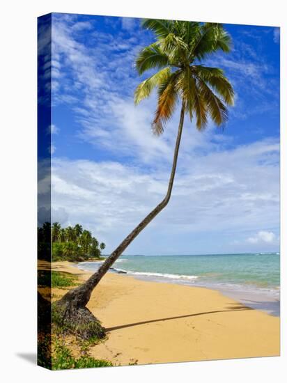 Tres Palmitas Beach, Puerto Rico, West Indies, Caribbean, Central America-Michael DeFreitas-Premier Image Canvas