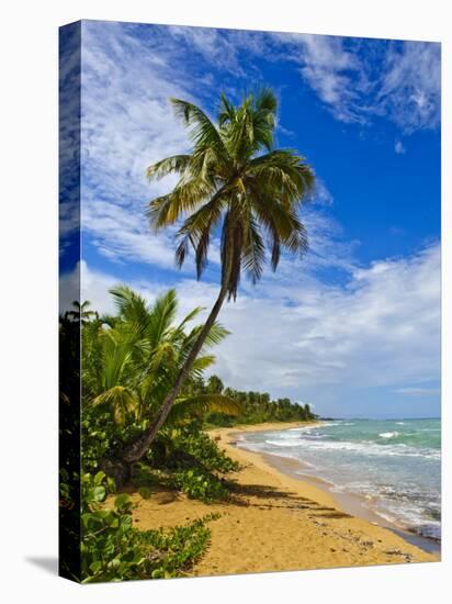Tres Palmitas Beach, Puerto Rico, West Indies, Caribbean, Central America-Michael DeFreitas-Premier Image Canvas