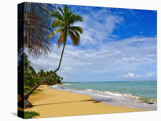 Tres Palmitas Beach, Puerto Rico, West Indies, Caribbean, Central America-Michael DeFreitas-Premier Image Canvas