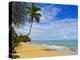 Tres Palmitas Beach, Puerto Rico, West Indies, Caribbean, Central America-Michael DeFreitas-Premier Image Canvas