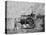 Trevithick's 1800 Engine-null-Premier Image Canvas