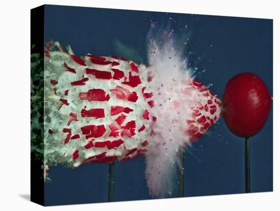 Tri Radish Destruction-Alan Sailer-Premier Image Canvas