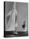 Trial Race For the America's Cup-George Silk-Premier Image Canvas