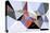 Triangle 3-LXXIII-Fernando Palma-Premier Image Canvas