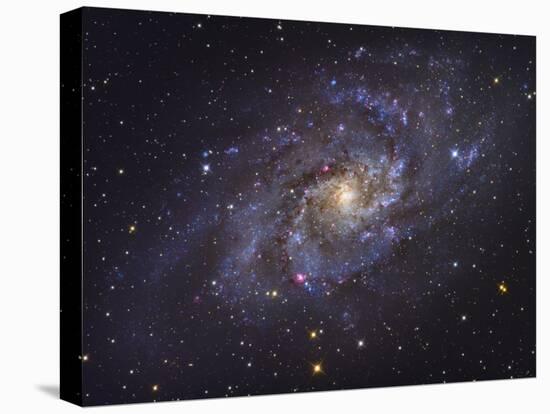 Triangulum Galaxy-Stocktrek Images-Premier Image Canvas