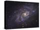 Triangulum Galaxy-Stocktrek Images-Premier Image Canvas