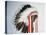 Tribal Headdress, Sioux Tribe (Textile and Feathers)-American-Premier Image Canvas