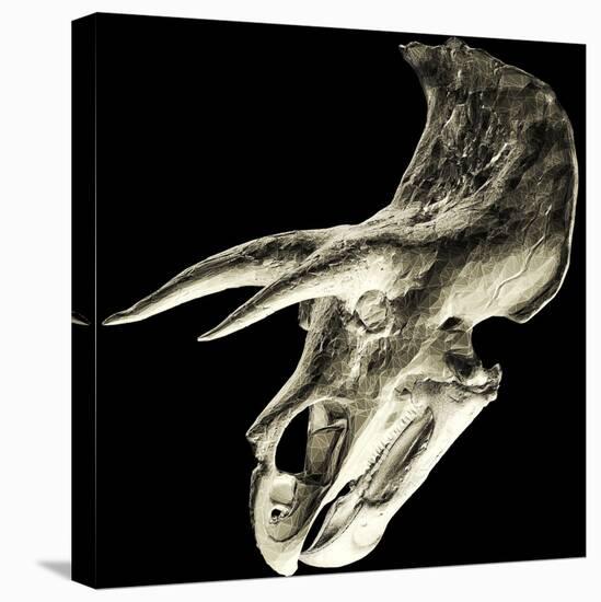 Triceratops Dinosaur Skull-Smithsonian Institute-Premier Image Canvas