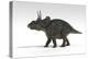 Triceratops Dinosaur, White Background-null-Stretched Canvas