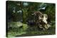 Triceratops Drinking At a Pond, Artwork-Roger Harris-Premier Image Canvas