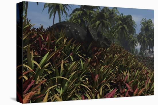 Triceratops Grazing on Lush Foliage-null-Stretched Canvas