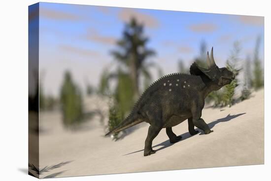 Triceratops Roaming a Prehistoric Landscape-null-Stretched Canvas
