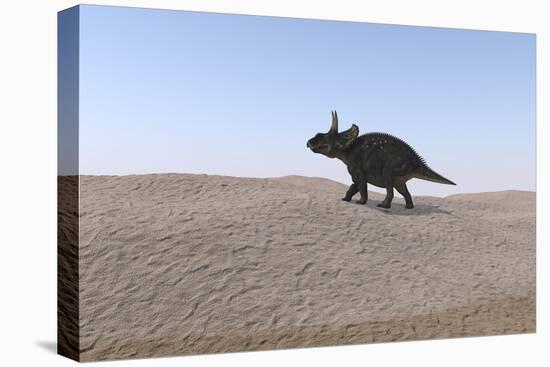 Triceratops Walking across a Barren Landscape-null-Stretched Canvas