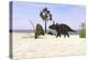 Triceratops Walking Along a Prehistoric Beach Landscape-null-Stretched Canvas