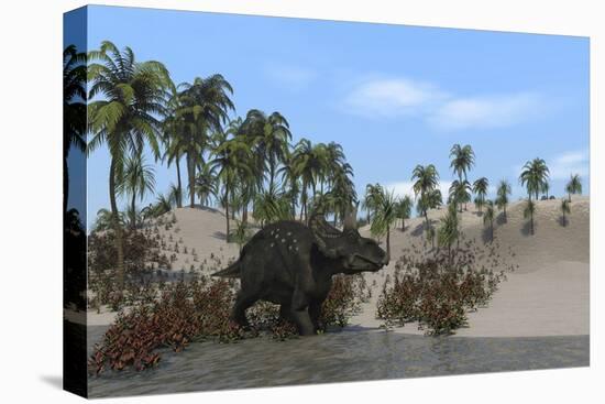 Triceratops Walking Along the Shoreline-null-Stretched Canvas
