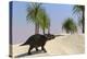 Triceratops Walking in a Tropical Environment-null-Stretched Canvas