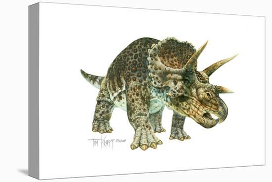 Triceratops-Tim Knepp-Premier Image Canvas