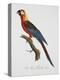 Tricolor Macaw-Jacques Barraband-Premier Image Canvas