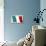 Tricolor-null-Stretched Canvas displayed on a wall