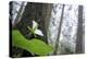 Trillium, Lady Bird Johnson Grove, Prairie Creek Redwoods, California-Rob Sheppard-Premier Image Canvas