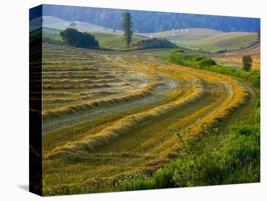 Trimmed Fields-Jim Craigmyle-Premier Image Canvas