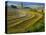 Trimmed Fields-Jim Craigmyle-Premier Image Canvas