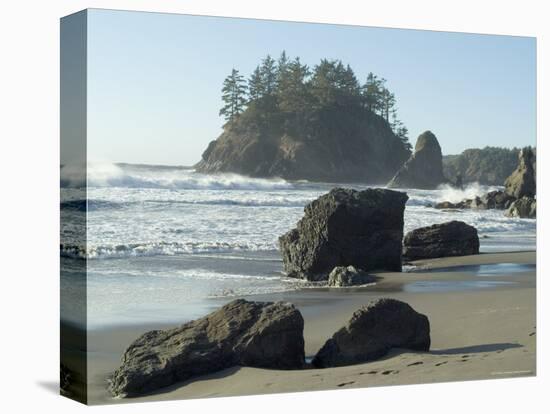 Trinidad State Beach, California, USA-Ethel Davies-Premier Image Canvas